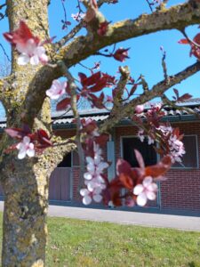 project voor mensen met burnout