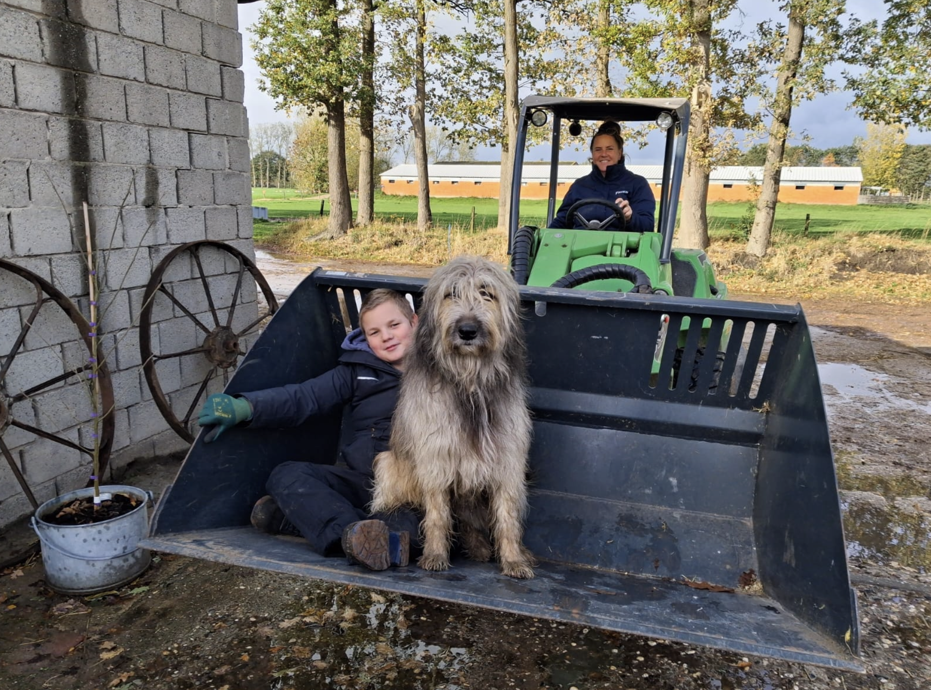 zorgboerderij jongere