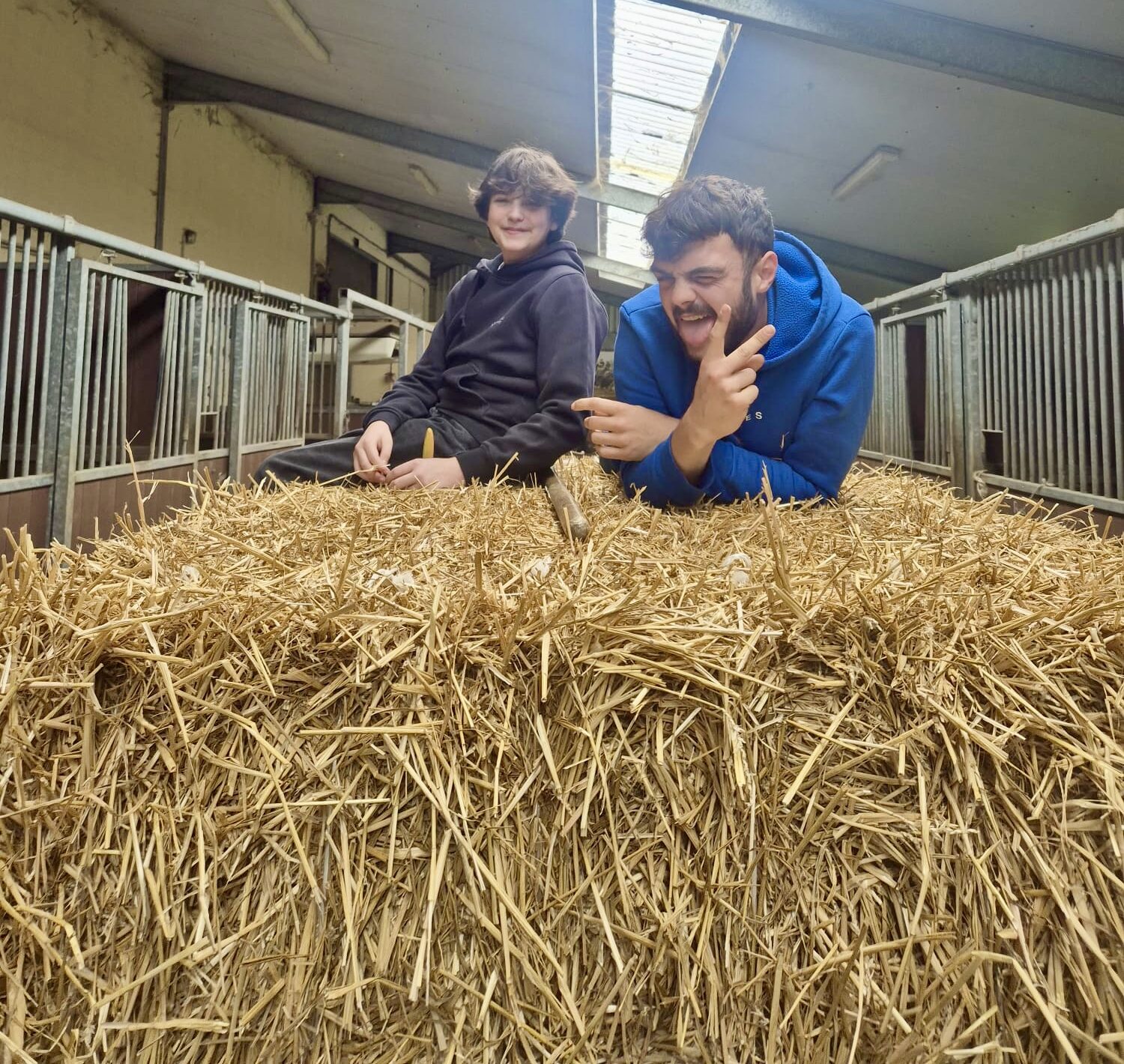 boerderijkamp jongeren